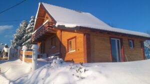 Read more about the article Embracing Innovation: The Rise of Prefabricated Wooden Houses