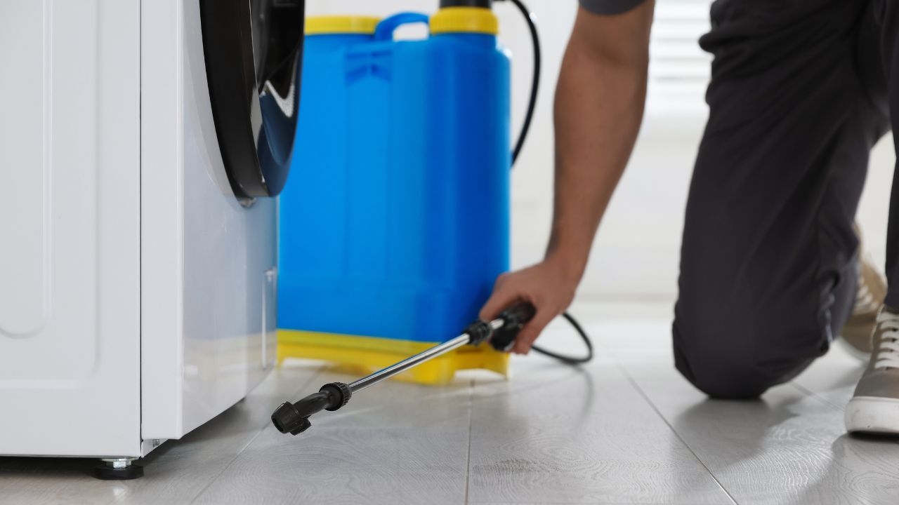 Alfa Pest Control &ndash; Thane&rsquo;s Trusted Pest Management Experts